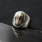 Iapetus Ring - Gender Neutral