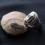 Iapetus Ring - Gender Neutral