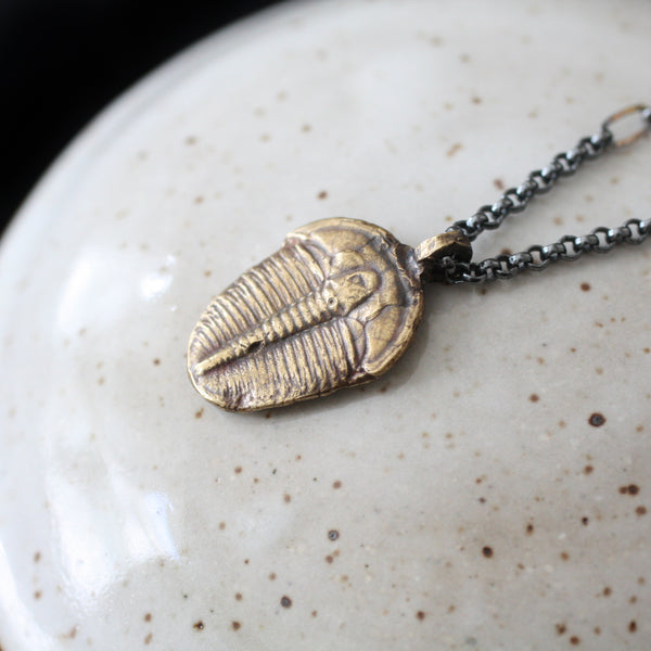 Fossil Trilobite Necklace