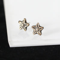 Crinoid Star Stud Earrings