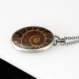 Fossil Ammonite Necklace