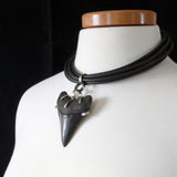 Queen of the Miocene Choker Necklace