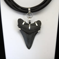 Queen of the Miocene Choker Necklace